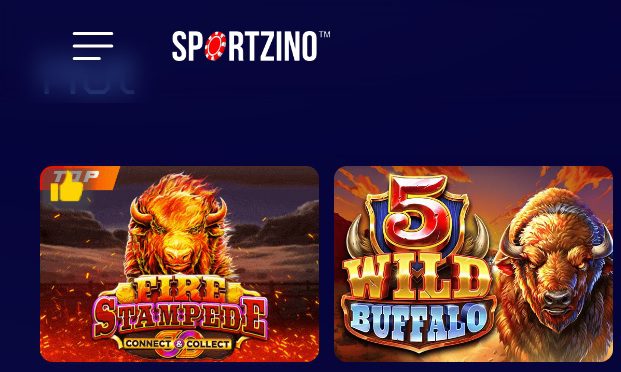 Login Sportzino Casino Account