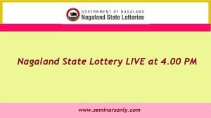 nagaland state lotteries 4 pm