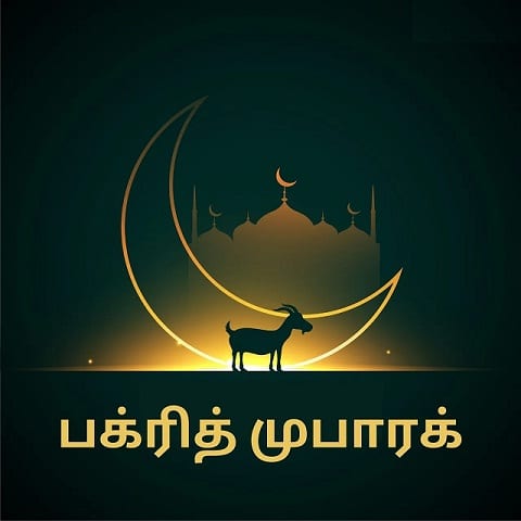 eid ul adha wishes in tamil