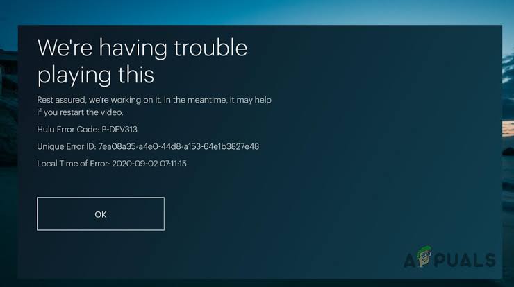 How to Fix Hulu Error Code P-DEV313